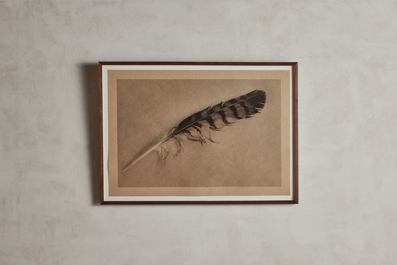 Joslyn Lawrence, Feather