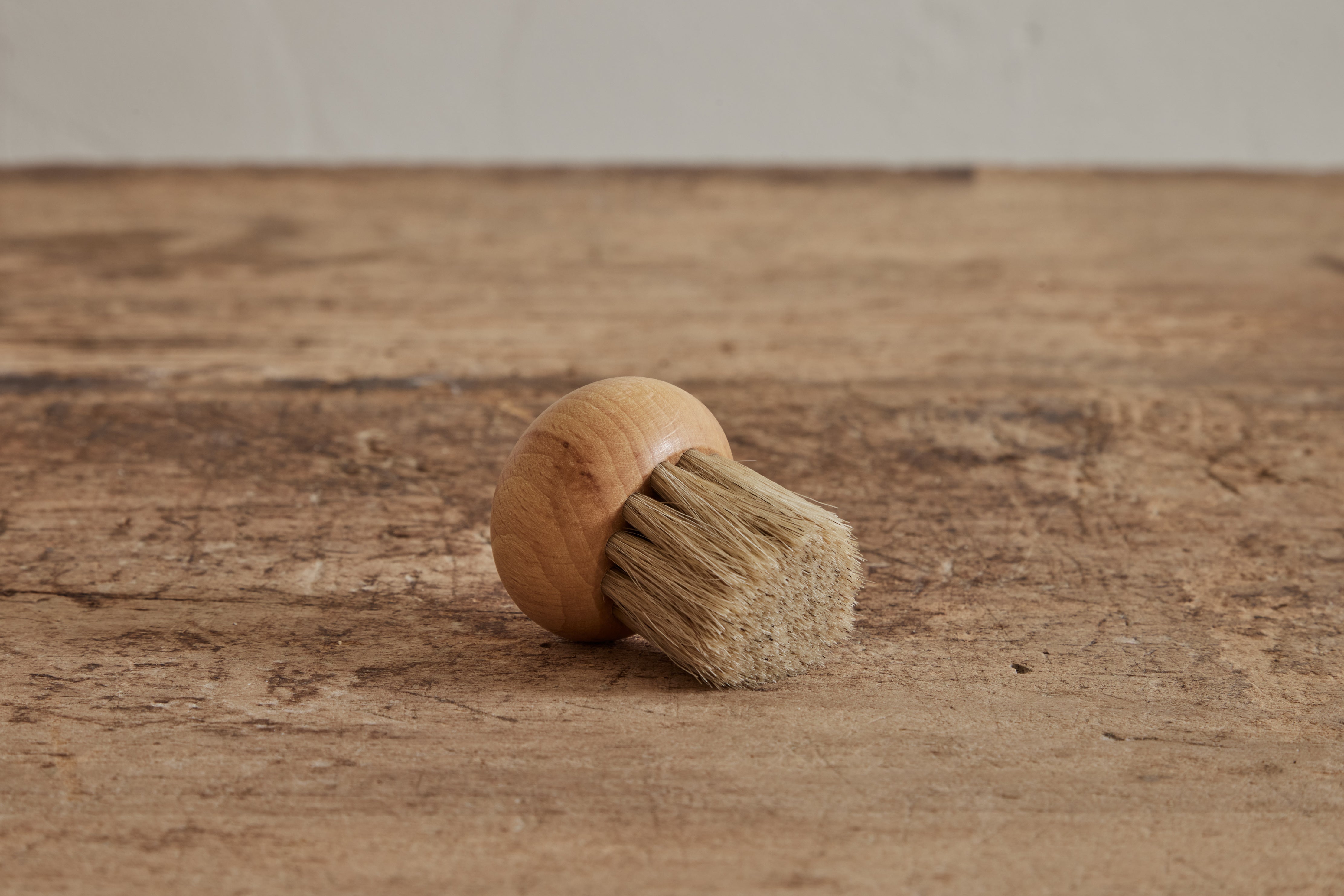 Mushroom Brush – House on Scott