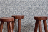 Faded Flora Wallpaper (Multiple Colors)
