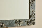 Mirror in Lichen