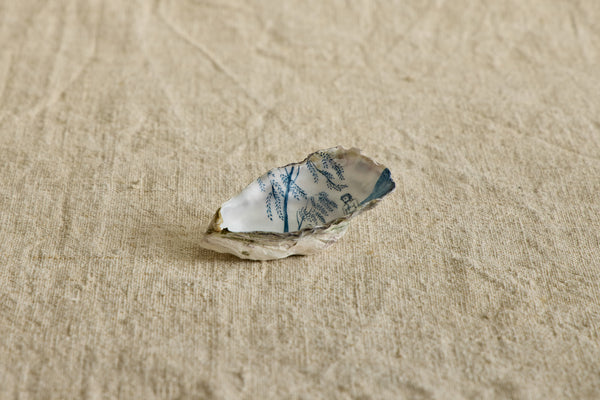 Painted Shell No. 1