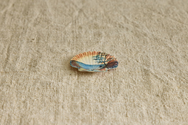 Painted Shell No. 12