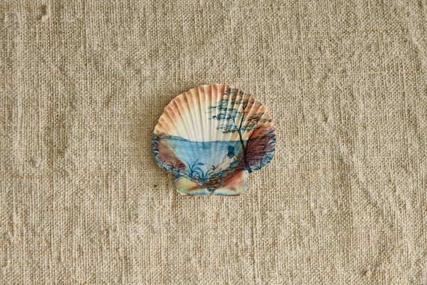 Painted Shell No. 12