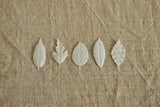 Japanese Paper Incense, Set of 5
