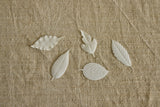 Japanese Paper Incense, Set of 5