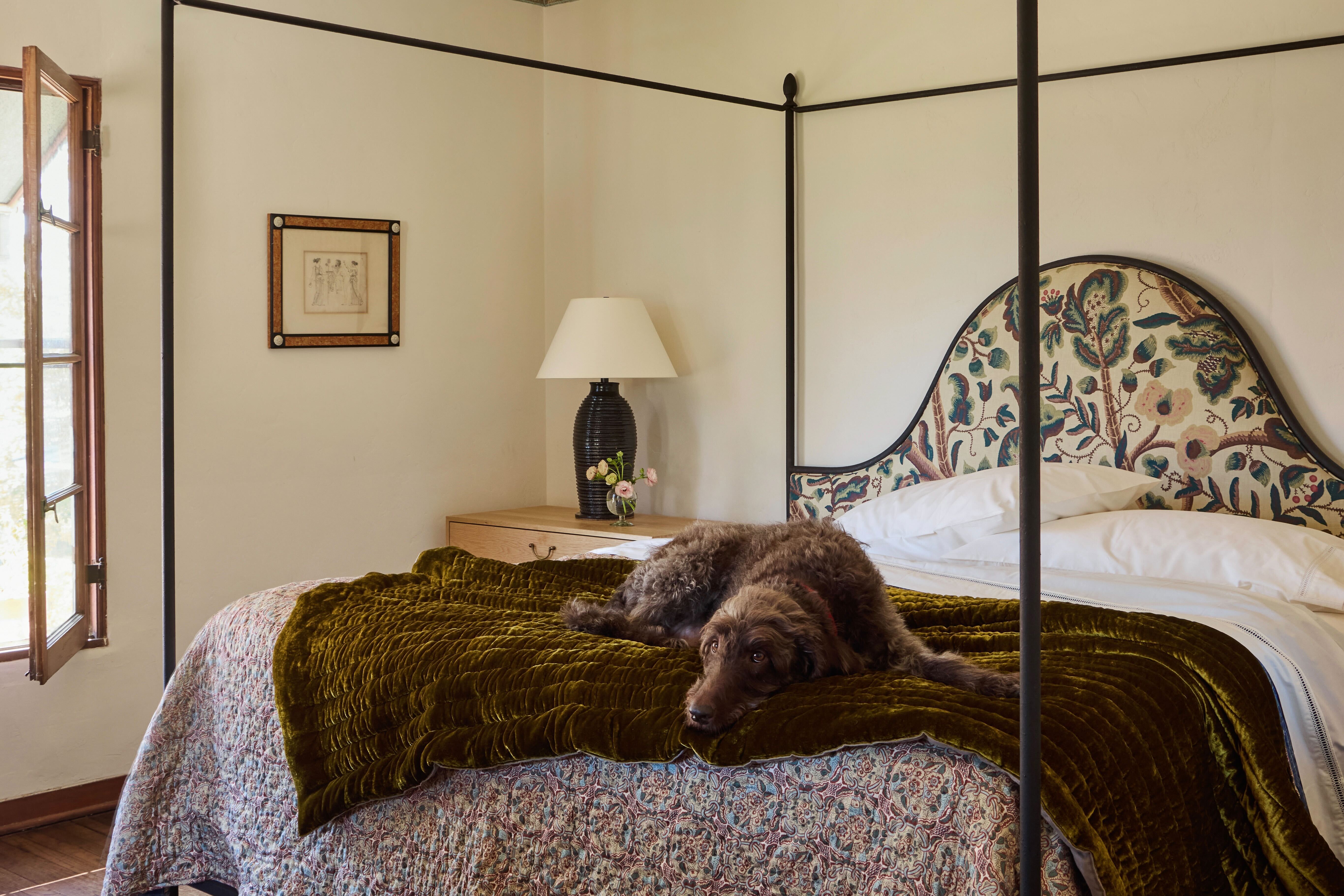 Iron Canopy Bed, King