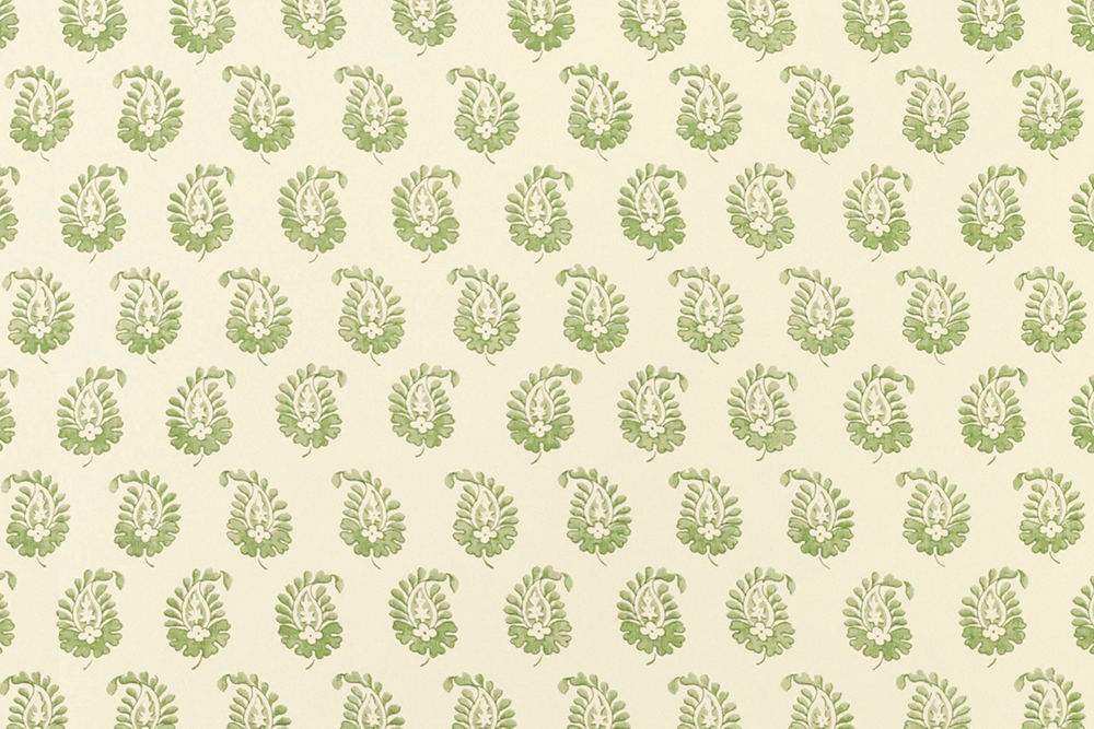 Cypress Wallpaper (Multiple Colors)