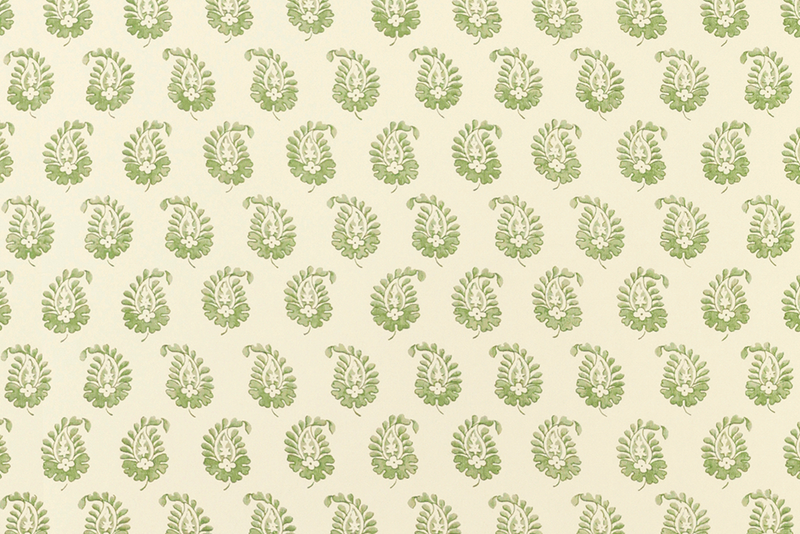 Cypress Wallpaper (Multiple Colors)
