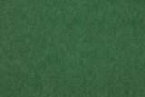 Mohair Grass