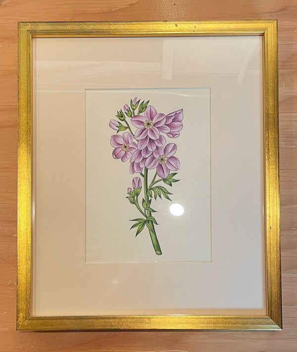 INDIAN BOTANICAL PAINTING