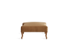 Library Ottoman