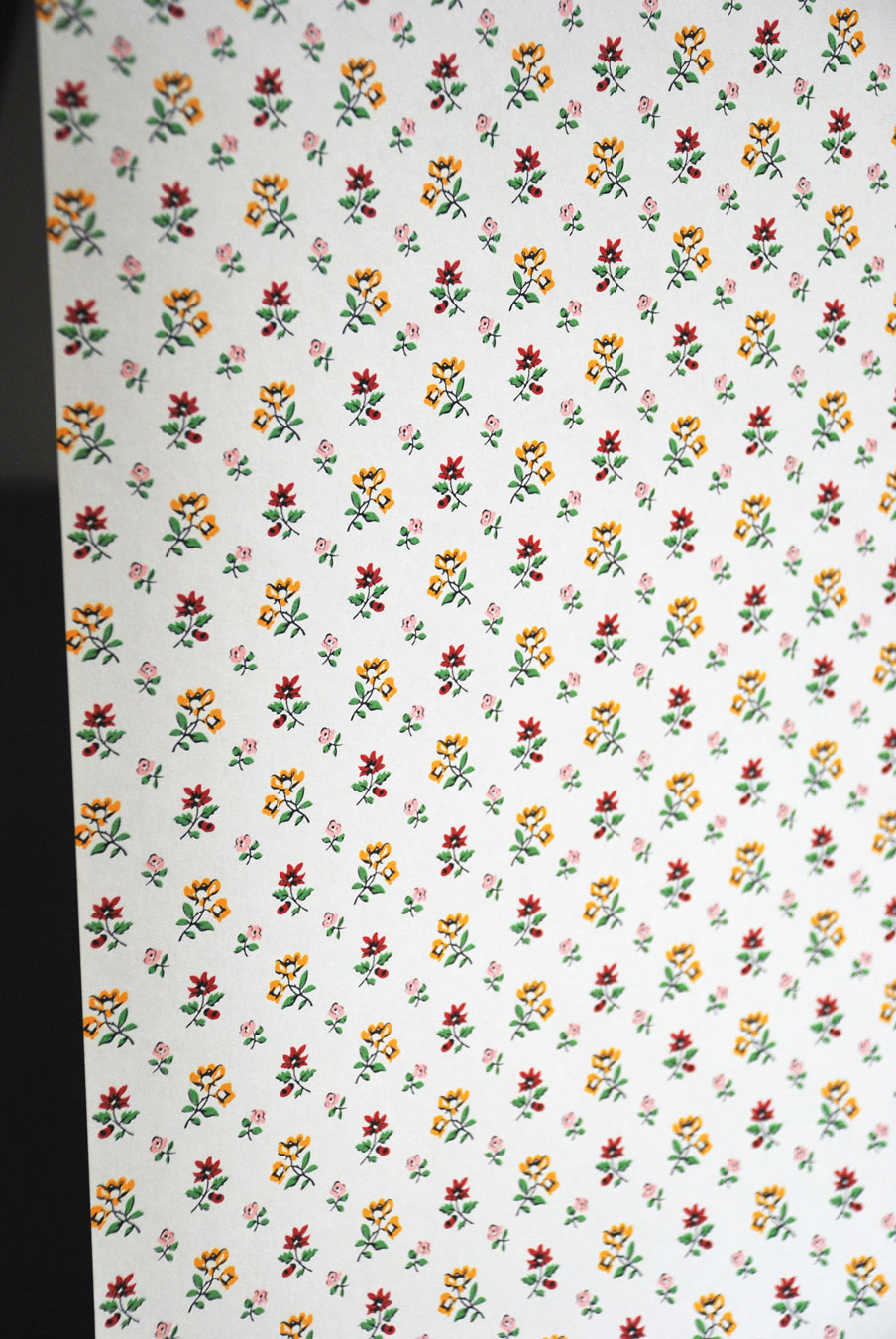 Little F Wallpaper in Tutti