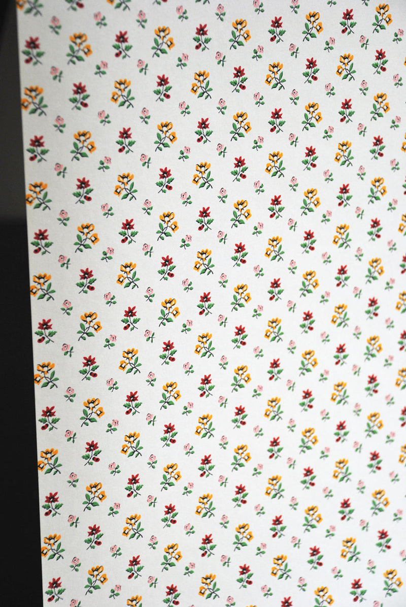 Little F Wallpaper in Tutti