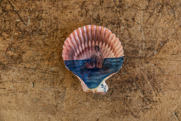 Painted Shell, Alyssa Goodman