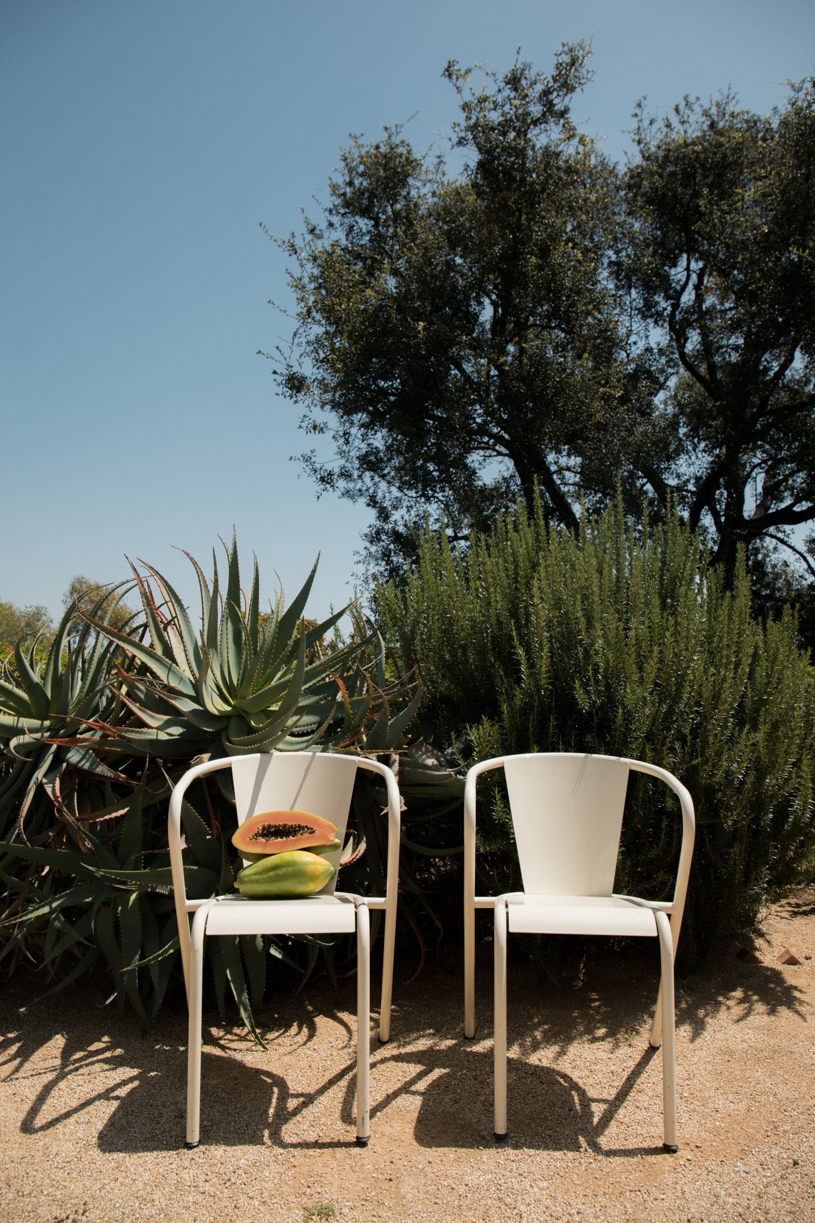 Cafe Chair (Multiple Colors)