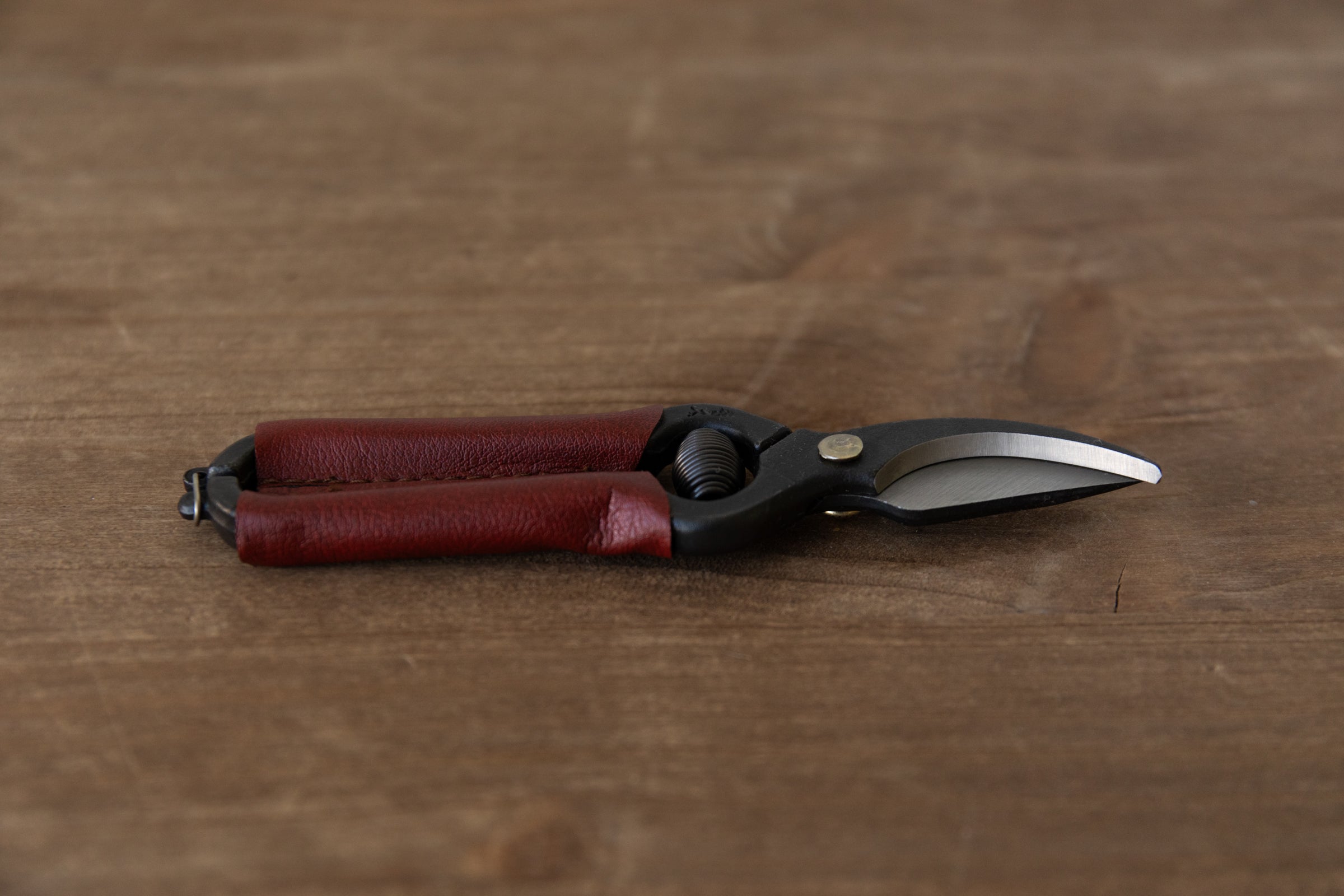 Mini Secateurs
