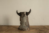 Minotaur Cyclops II