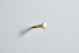 Forged Iron Nail, Brass