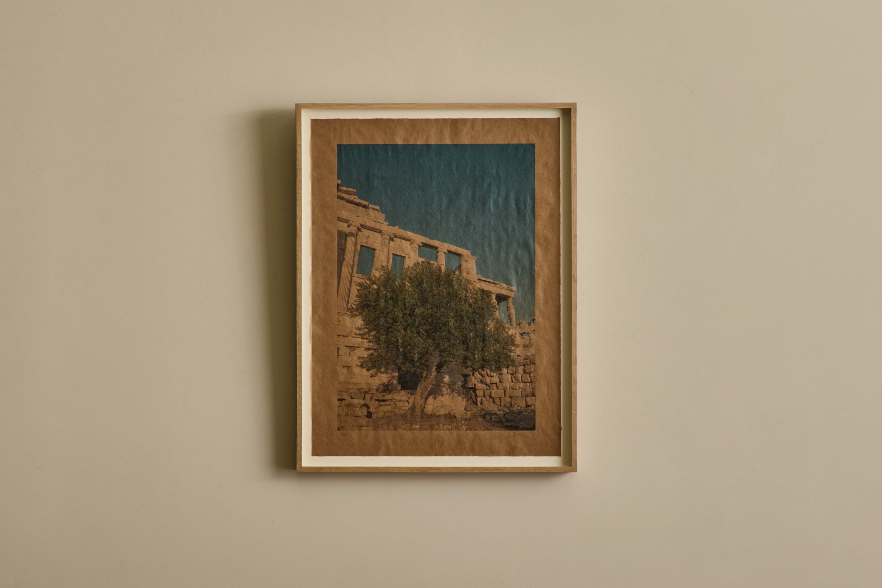 Moria Elia, Athena's Olive Tree