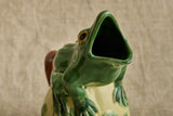 Frog Pitcher