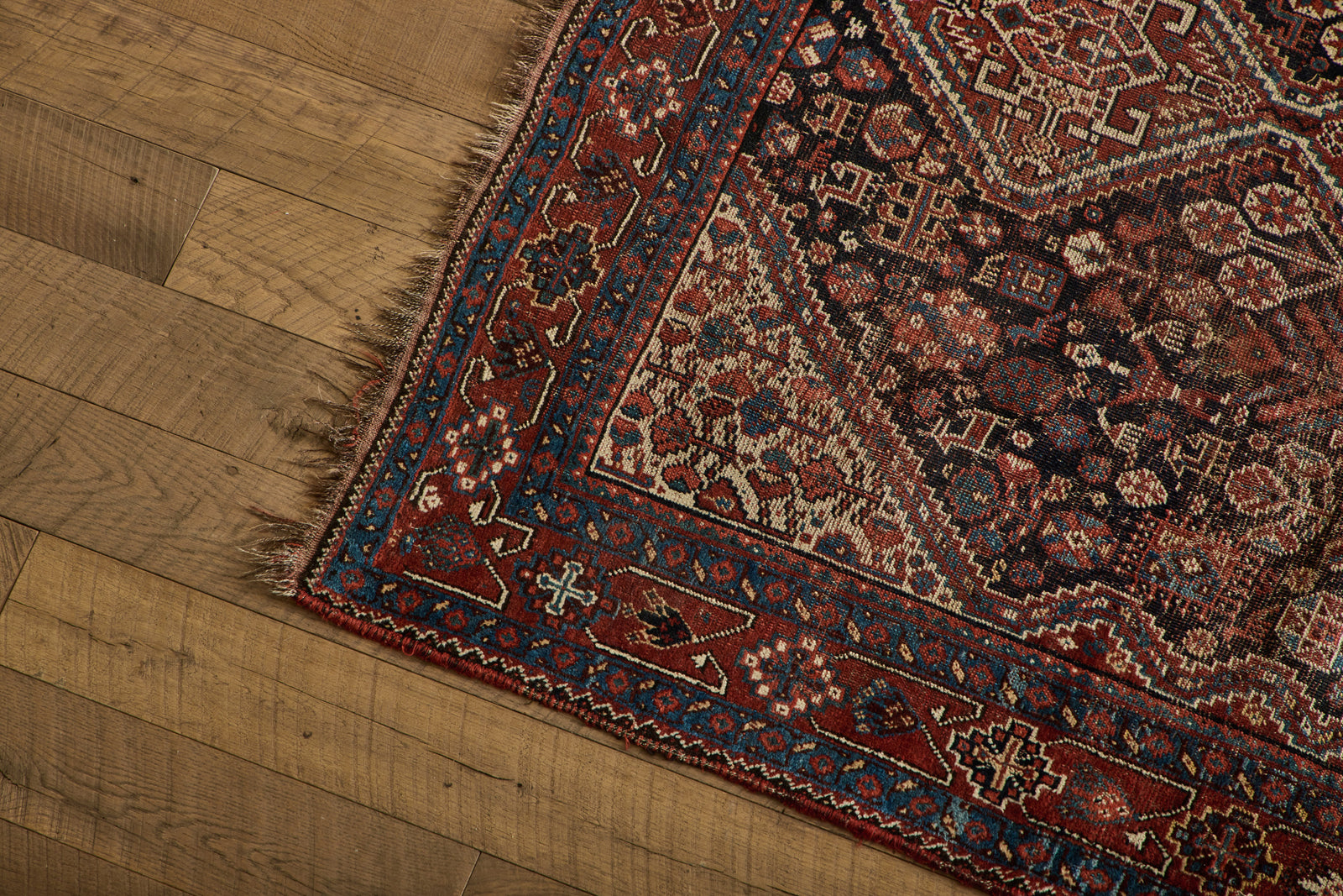 Persian Shiraz Rug 5'3 X 6' – Nickey Kehoe