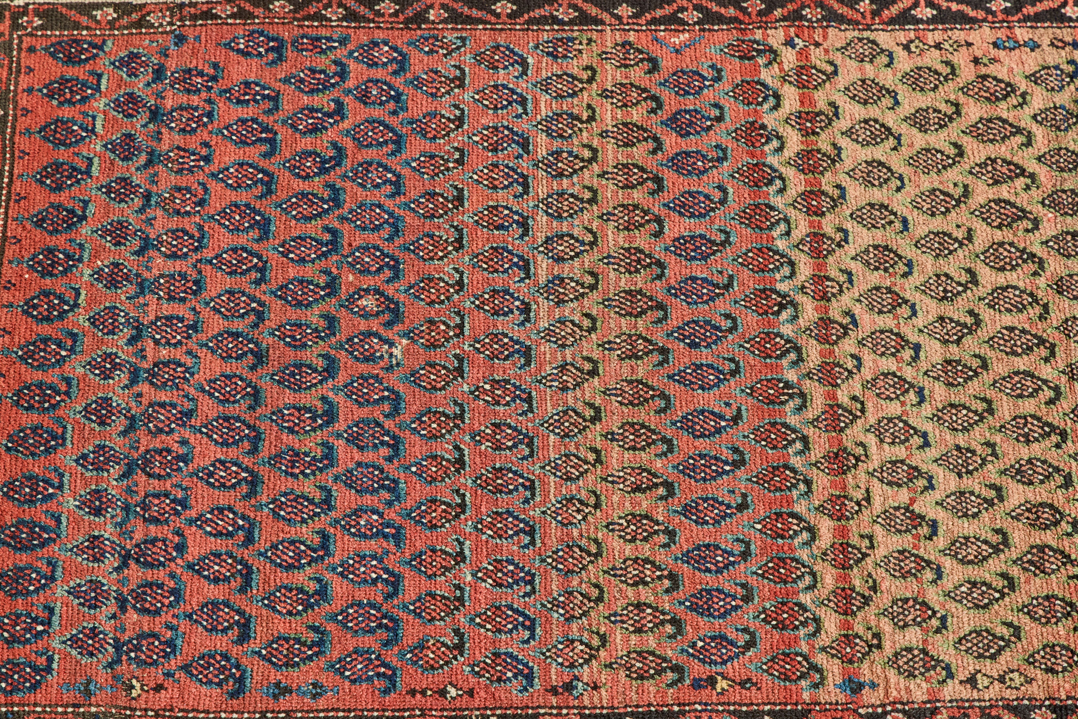 Paisley Pattern Rug 3'10 X 5'3