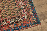 Paisley Pattern Rug 3'10 X 5'3