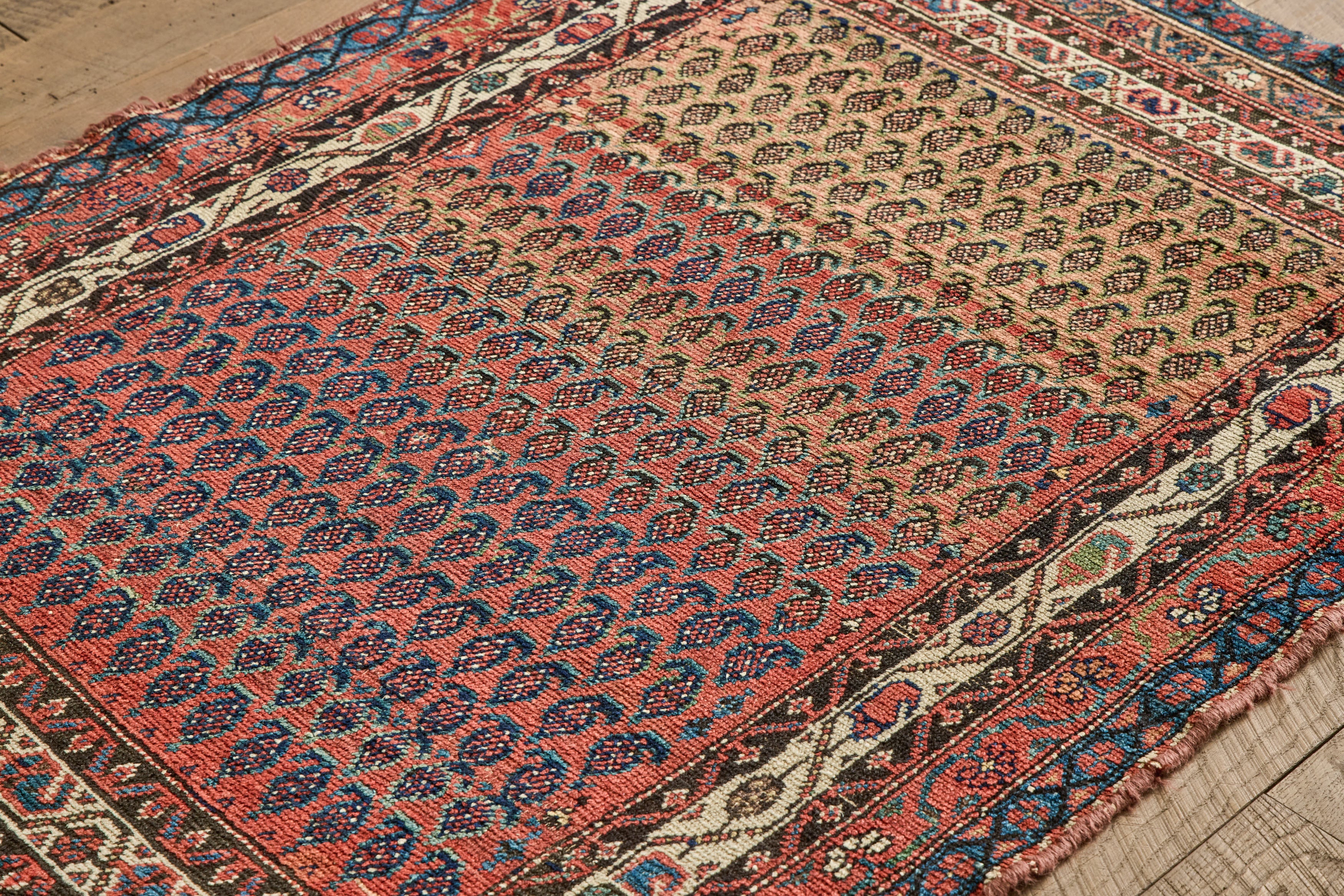 Paisley Pattern Rug 3'10 X 5'3