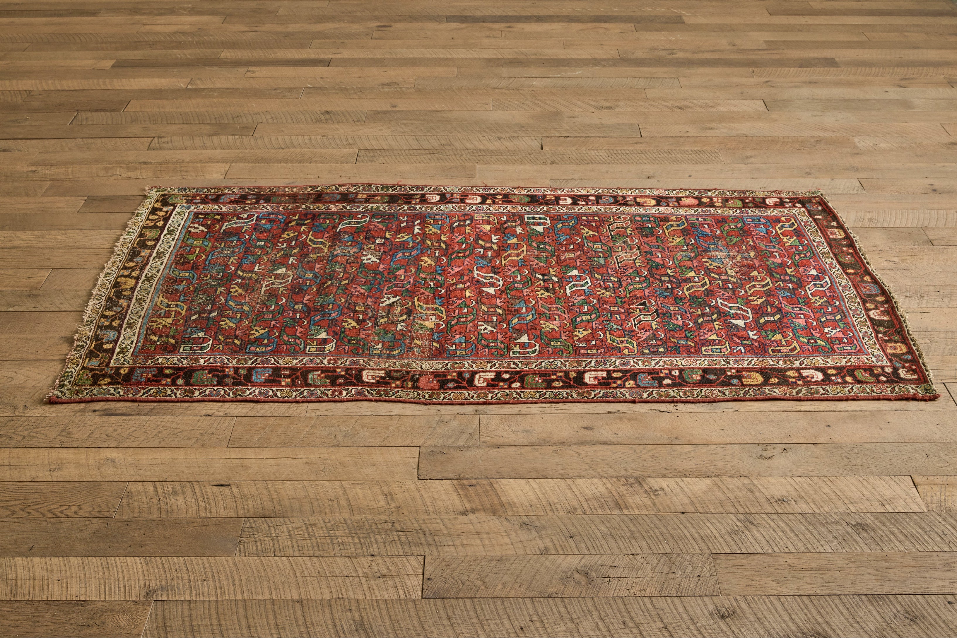 Multicolor Bidjar Rug 4'3 X 7'7
