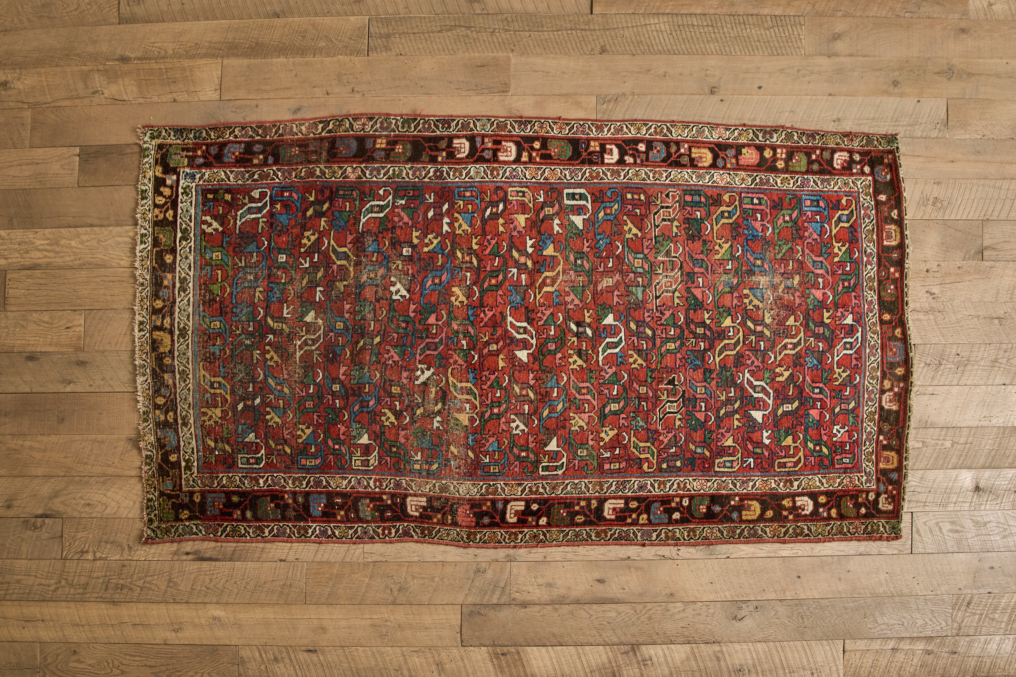 Multicolor Bidjar Rug 4'3 X 7'7