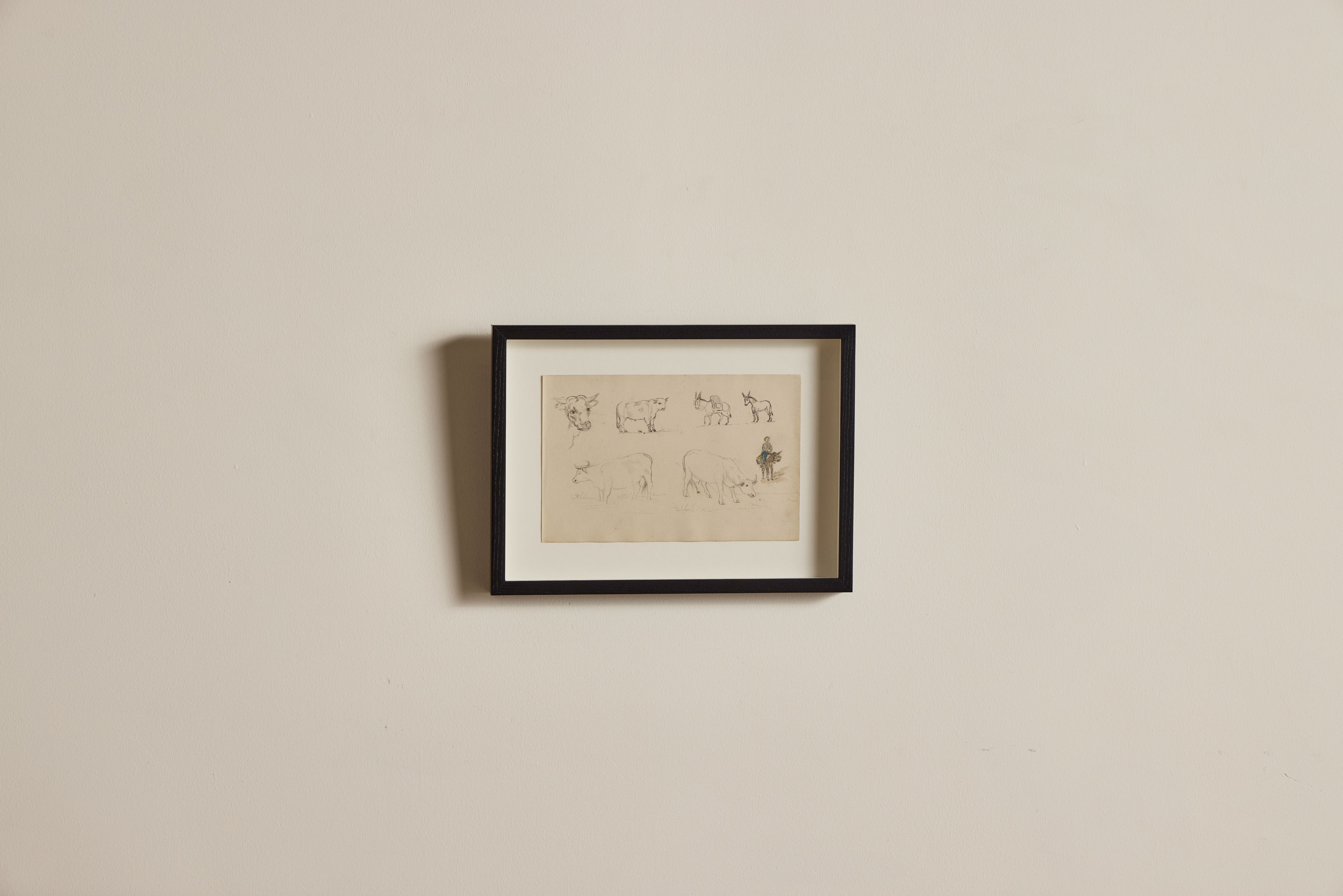 Cattle Drawing