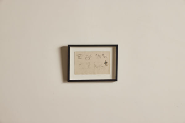 Cattle Drawing