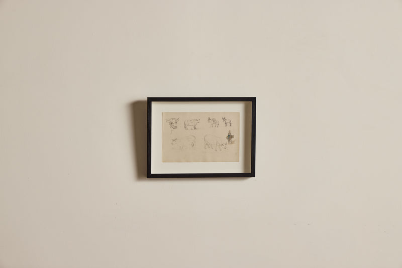 Cattle Drawing