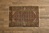 Persian Malayer Rug 4'3 x 6'3