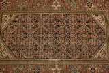 Persian Malayer Rug 4'3 x 6'3