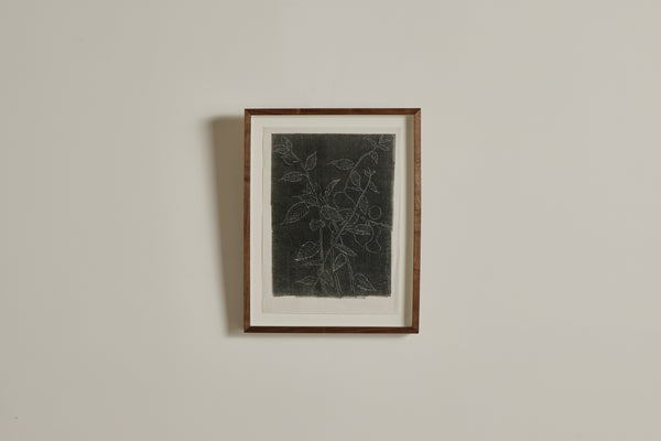 Monotype No. 11