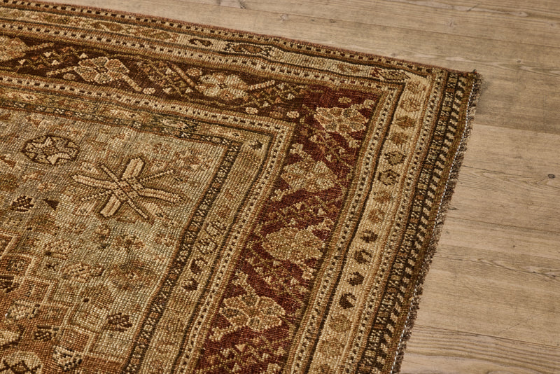 Brown Shiraz Rug 5'5 x 8'3