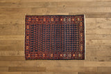 Paisley Malayer Rug 3'6 X 4'9