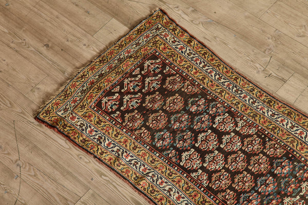 Botanical Kurdish Runner 3'7 x 15'