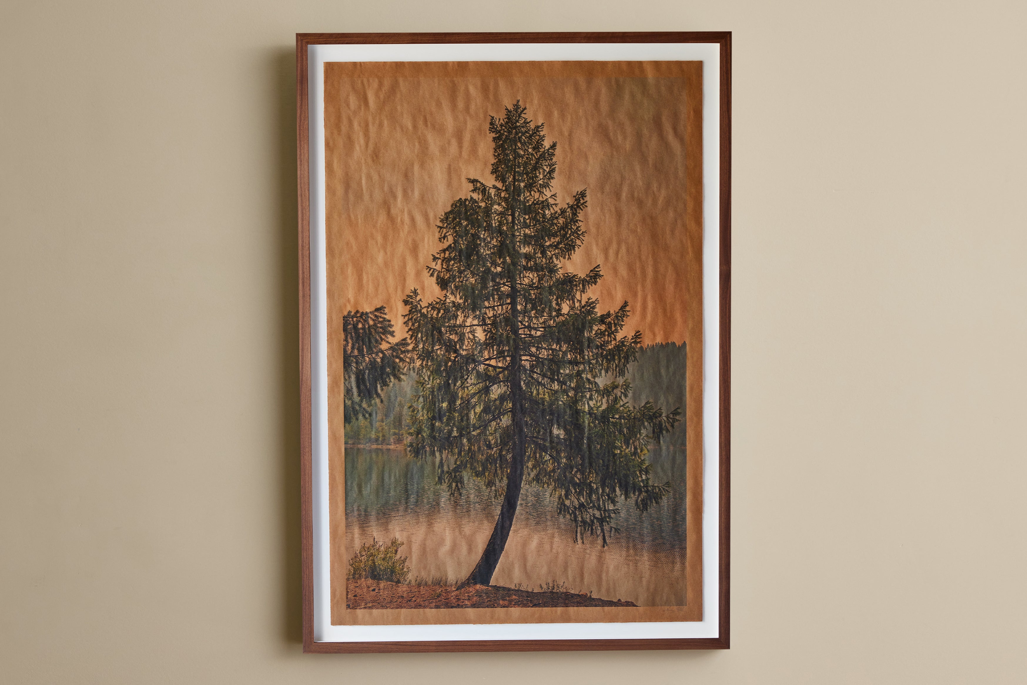 Summer Song Shasta California