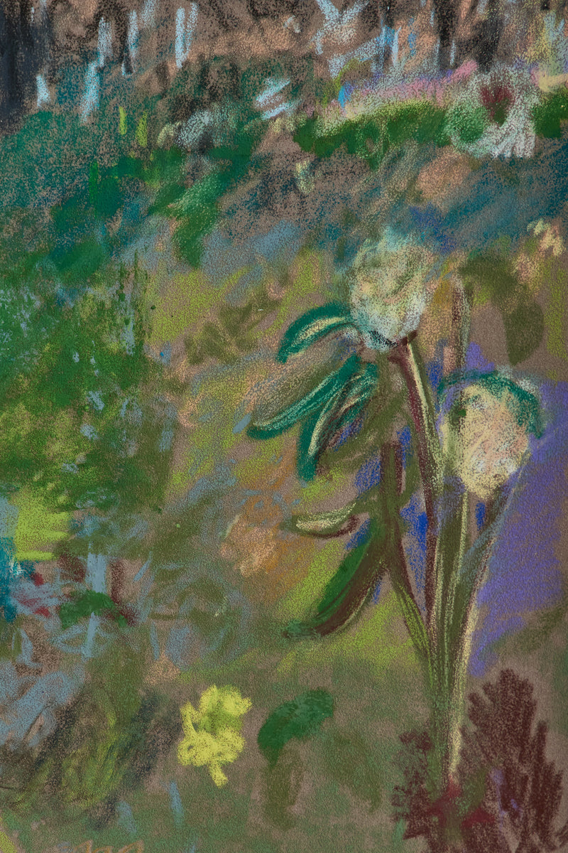 Glimpses of Eden