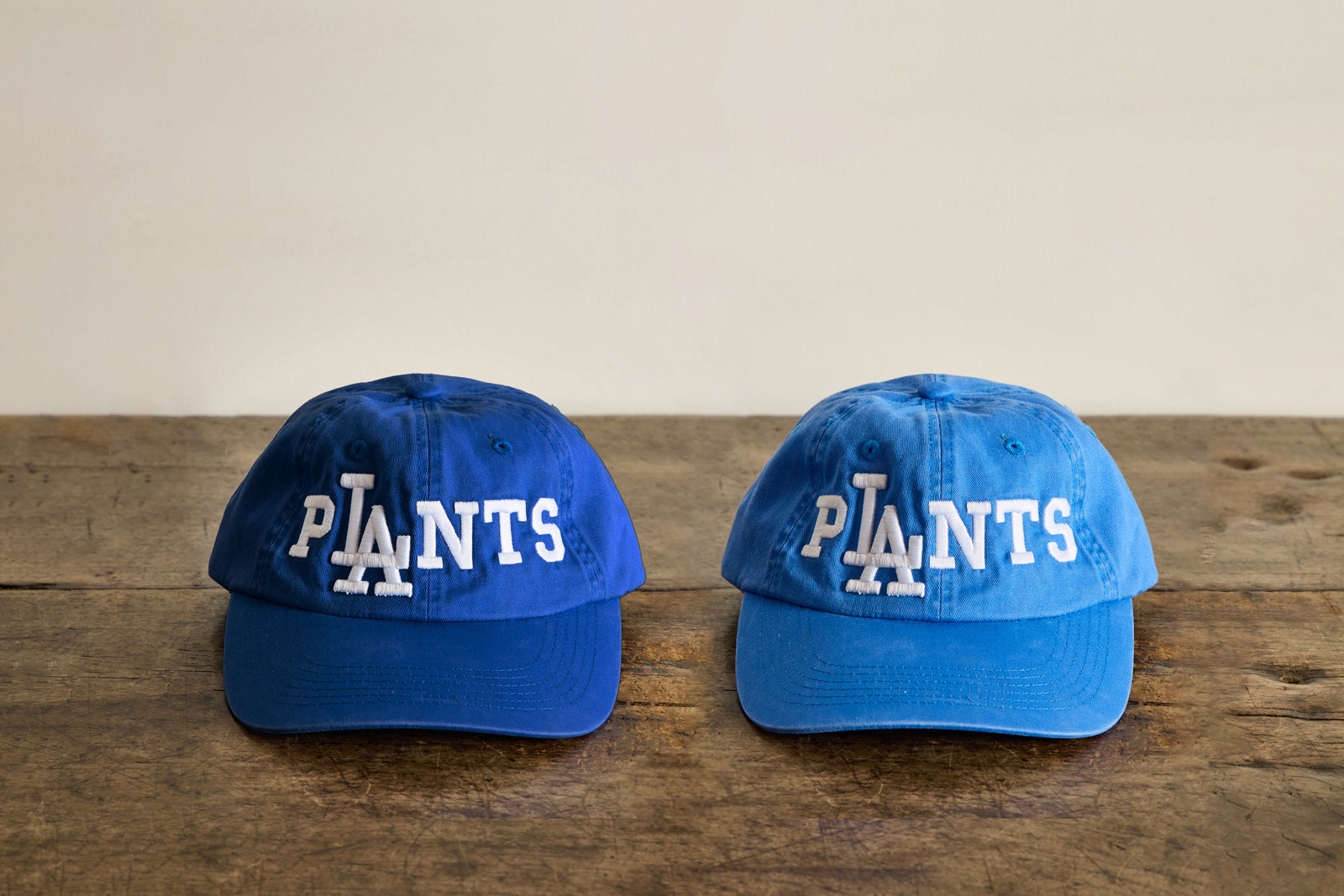 LA Plants Baseball Cap – Nickey Kehoe