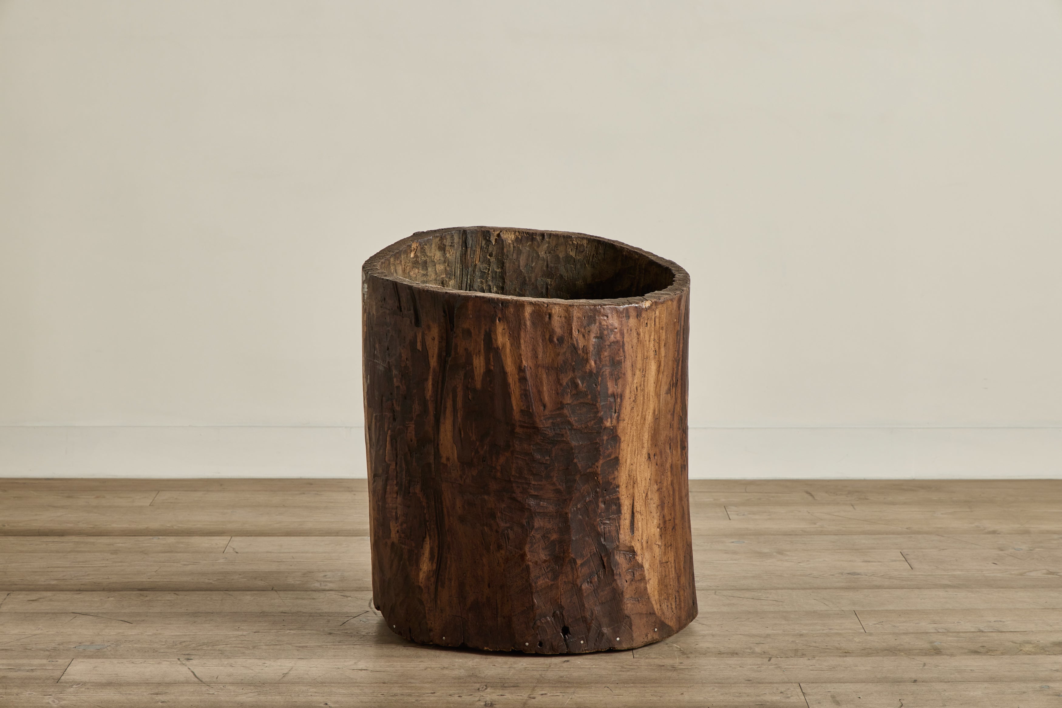 Hollow Wood Trunk