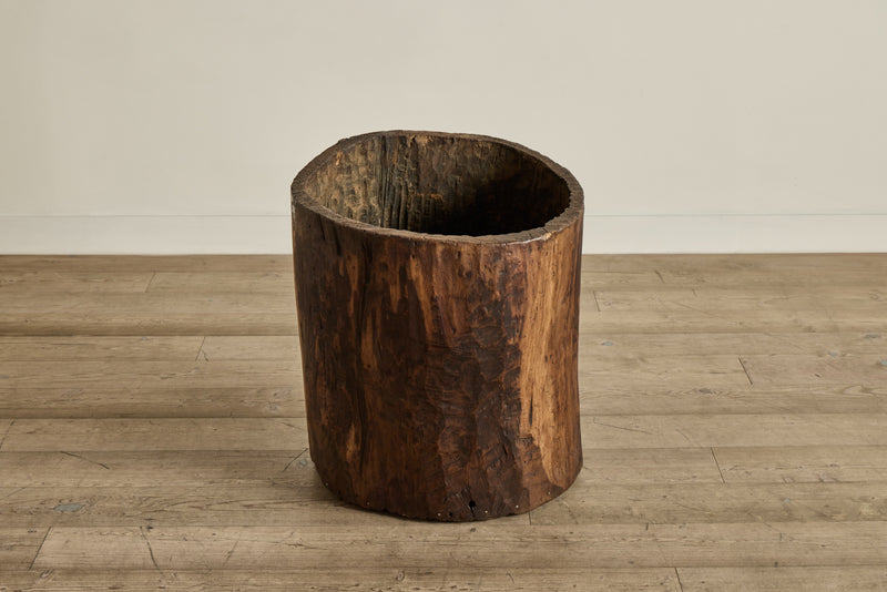 Hollow Wood Trunk