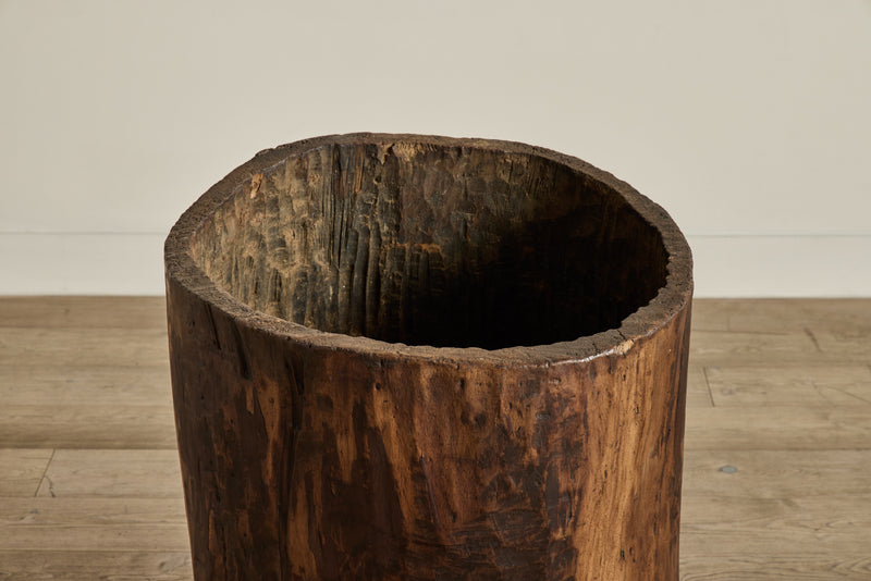 Hollow Wood Trunk
