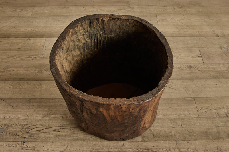 Hollow Wood Trunk