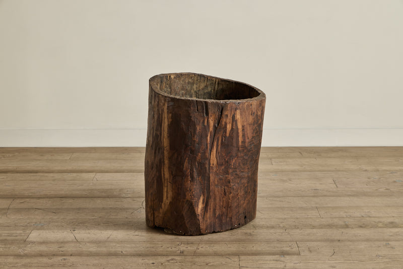 Hollow Wood Trunk