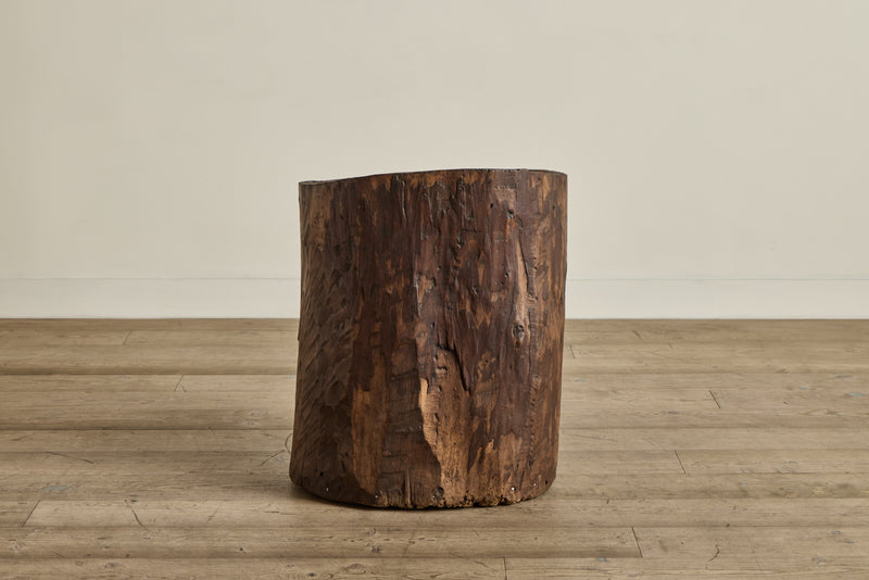 Hollow Wood Trunk