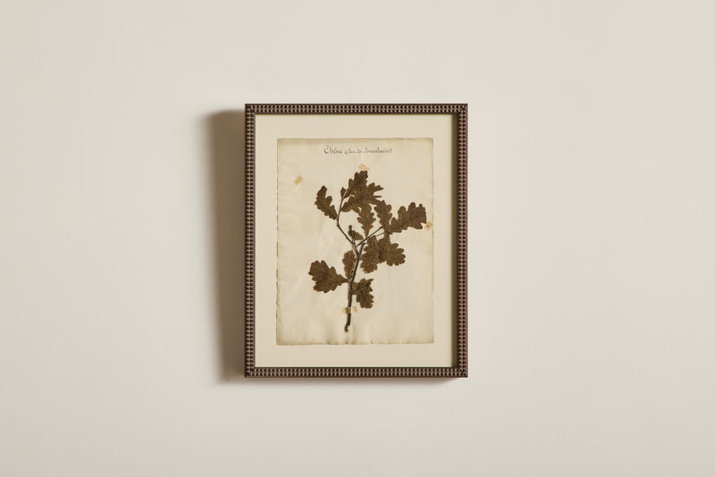 Large Botanical Print No.1