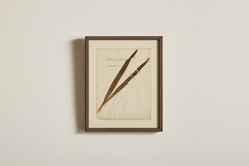 Large Botanical Print No.3
